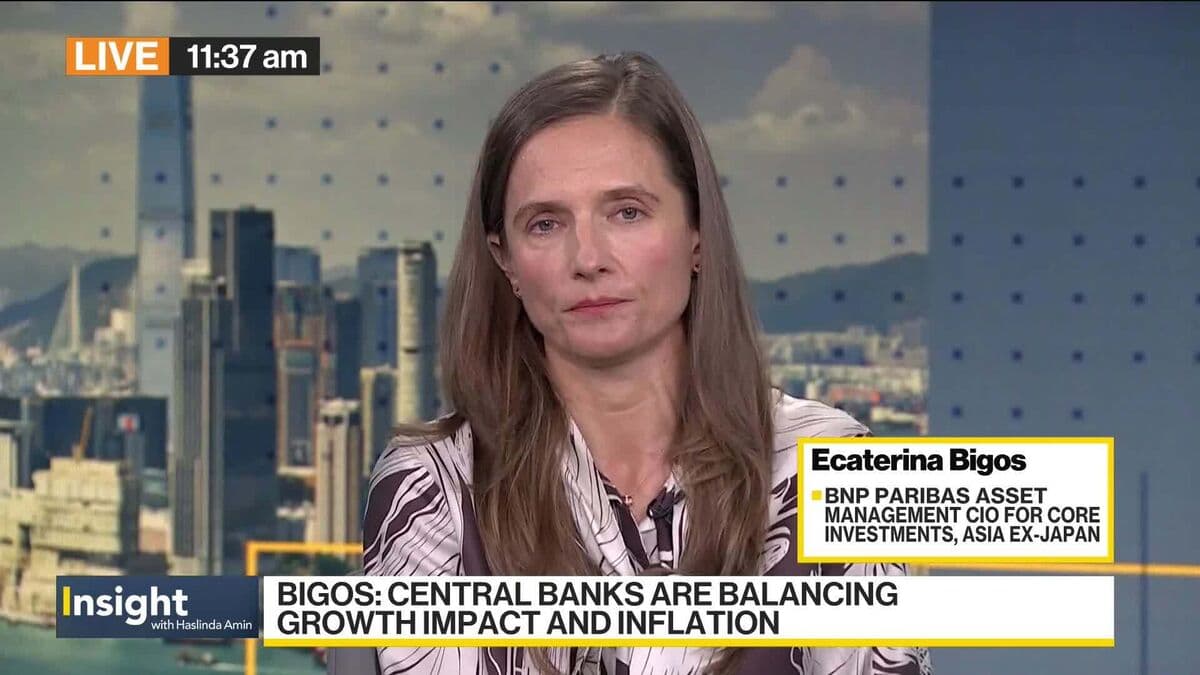 BNP Paribas’ Bigos: Growth Drivers vs. Volatility