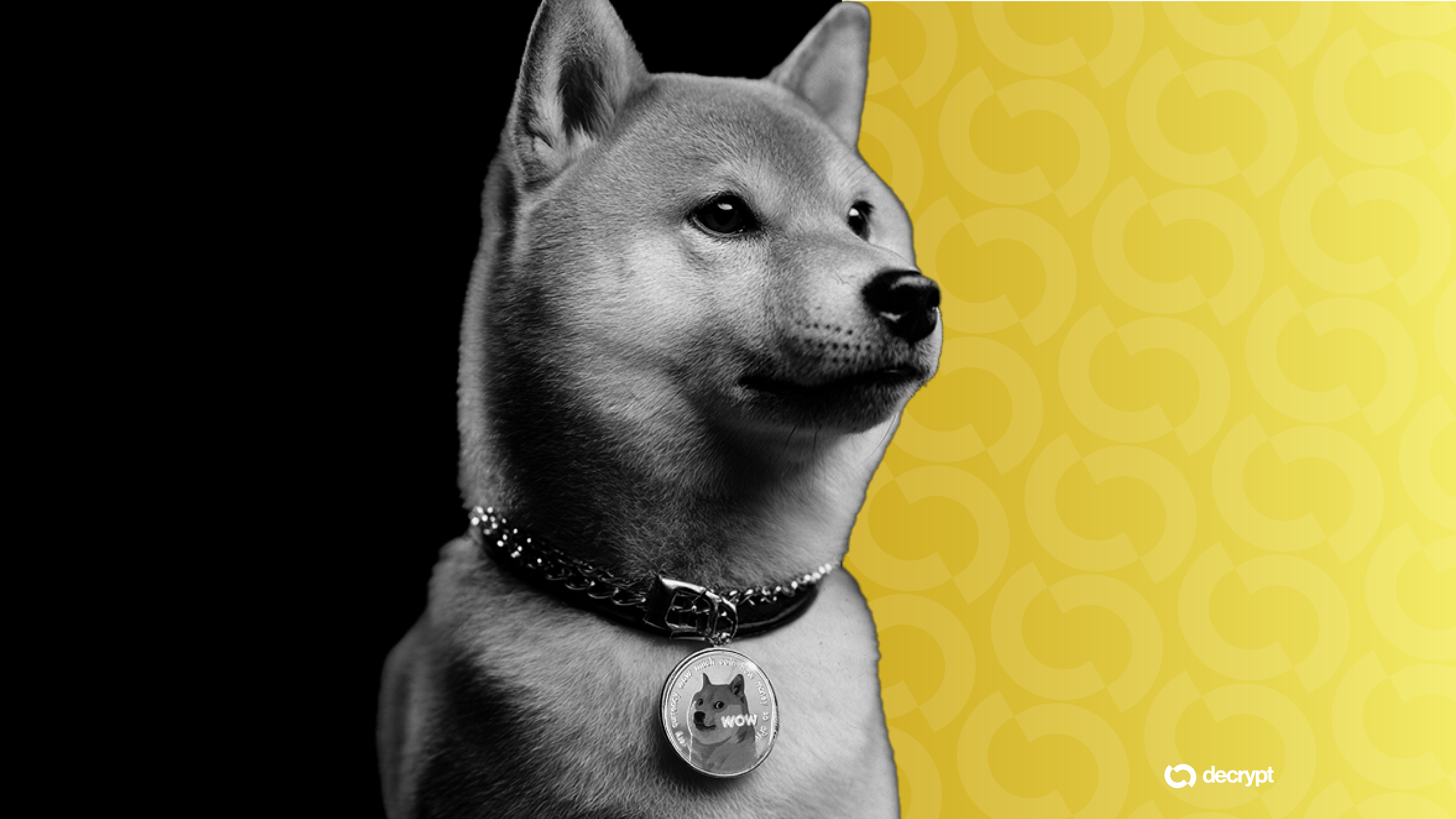 Dogecoin Foundation, MoonPay Team to Donate 1 Million DOGE to Dog Charity
