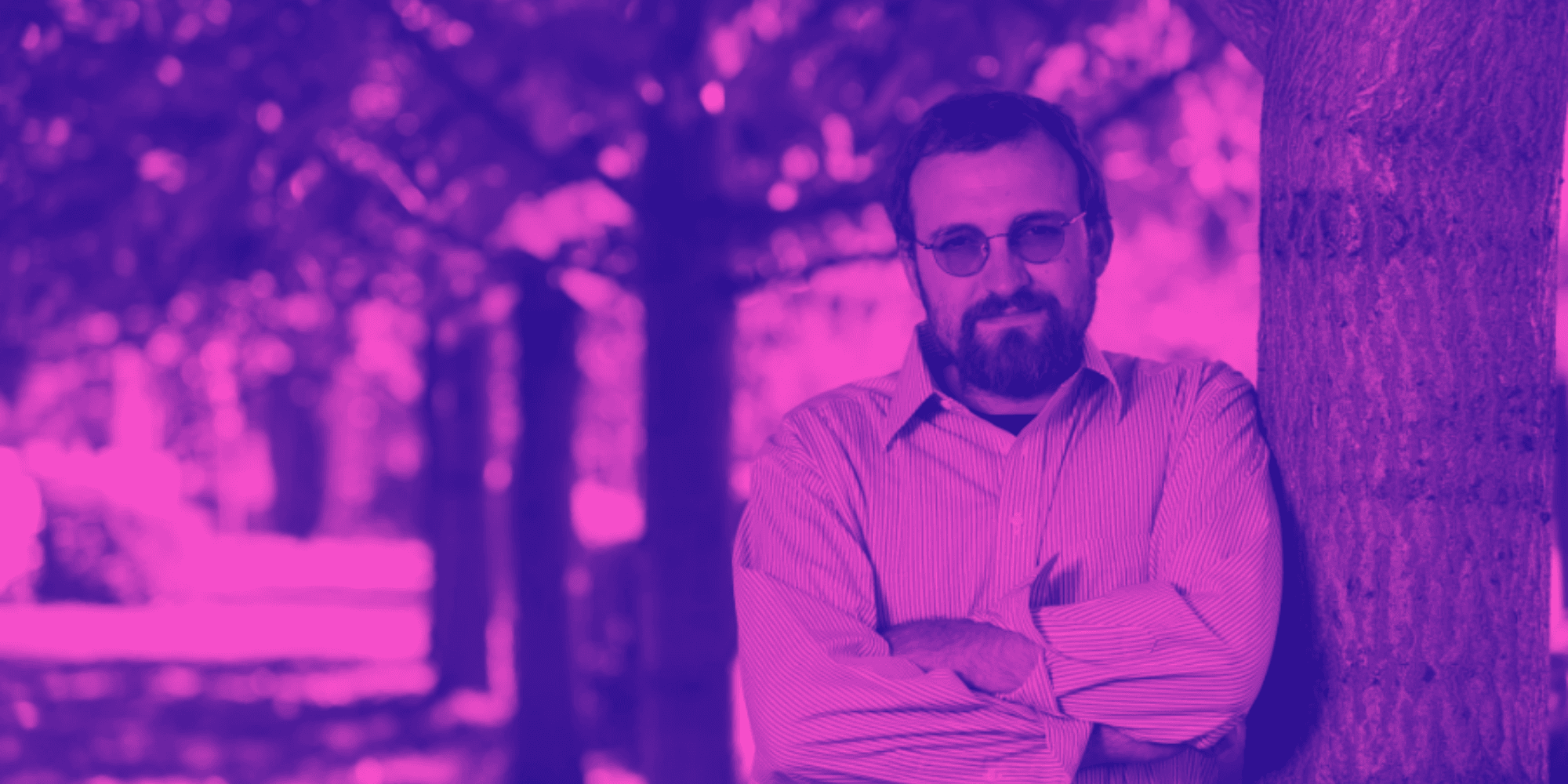 Cardano Founder Charles Hoskinson Slams Blockstream Quantum Strategy