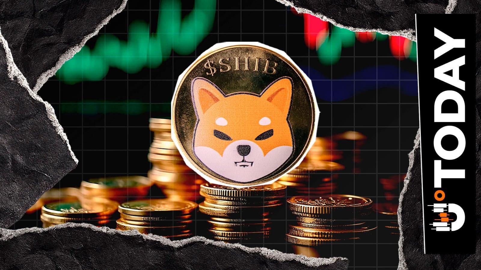 Shiba Inu Sees 87.7% Surge in Usage as New Holders Flood Market